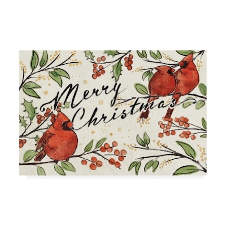 Janelle Penner 'Christmas Lovebirds Viii' Canvas Art,16x24